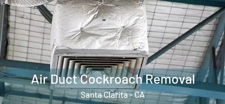 Air Duct Cockroach Removal Santa Clarita - CA