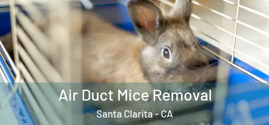 Air Duct Mice Removal Santa Clarita - CA