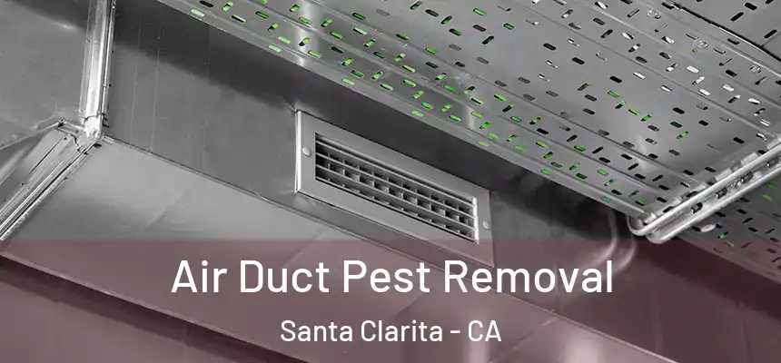 Air Duct Pest Removal Santa Clarita - CA