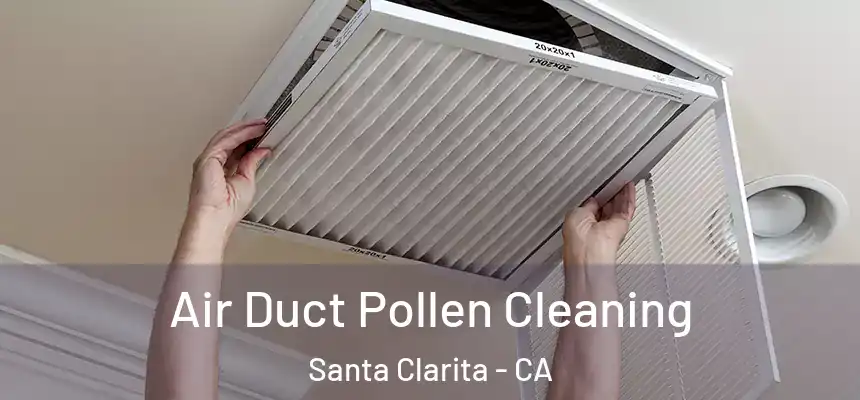 Air Duct Pollen Cleaning Santa Clarita - CA