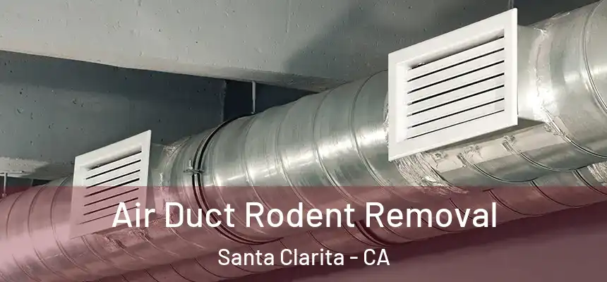 Air Duct Rodent Removal Santa Clarita - CA
