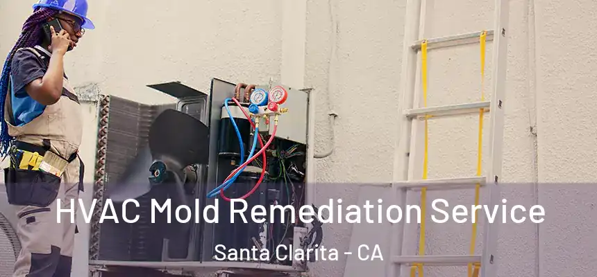 HVAC Mold Remediation Service Santa Clarita - CA
