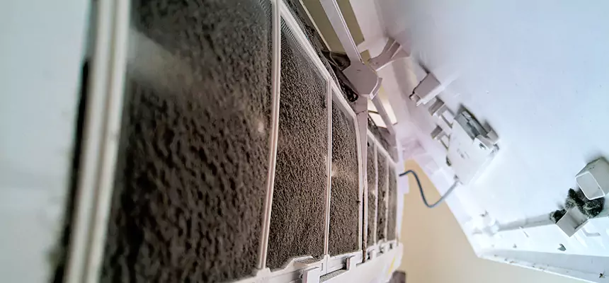 Preventive Air Duct Bacteria Removal in Santa Clarita