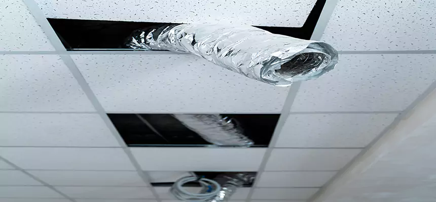 Our Air Duct Pet Hair Removal Services in Santa Clarita, CA