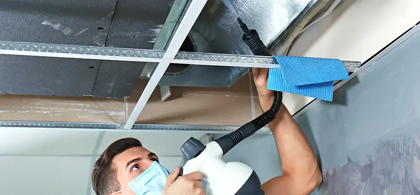 Our Air Duct Rodent Removal Services in Santa Clarita, CA