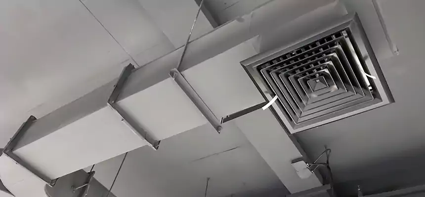 Restorative Allergy Relief Vent Cleaning – Coil, Blower & Housing Detail in Santa Clarita