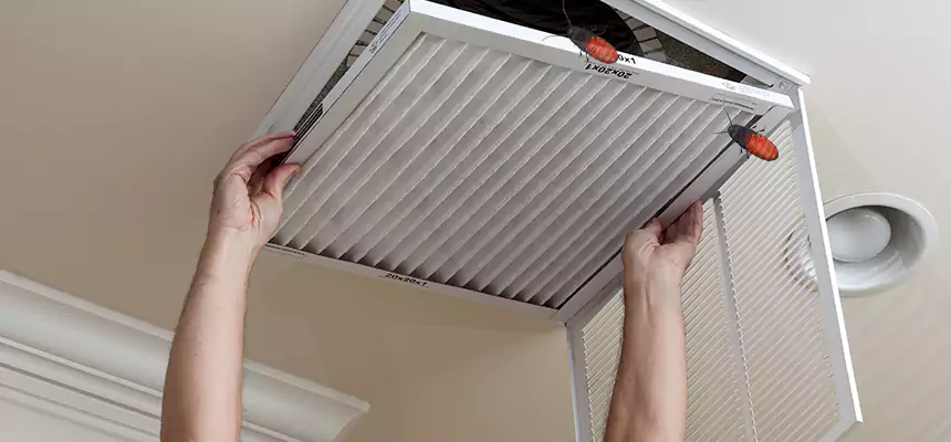 Our Insect Removal from Air Ducts Services in Santa Clarita, CA