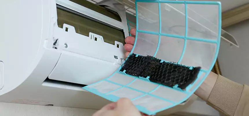 Gentle Ductwork Odor-Control Pet Dander Duct Cleaning in Santa Clarita, CA