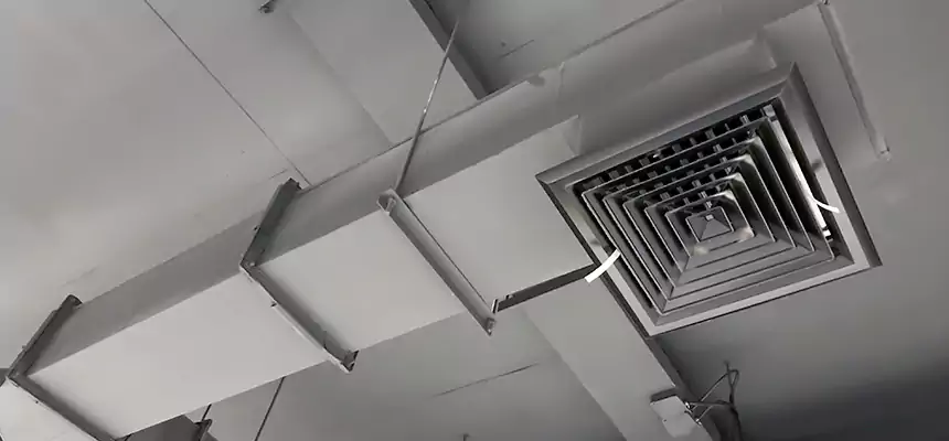 Our Rodent Droppings In Vents Services in Santa Clarita, CA