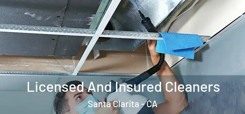 Licensed And Insured Cleaners Santa Clarita - CA