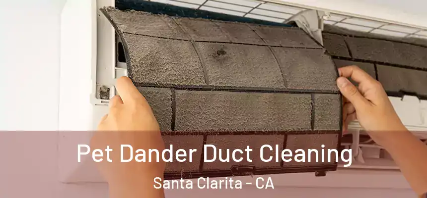 Pet Dander Duct Cleaning Santa Clarita - CA