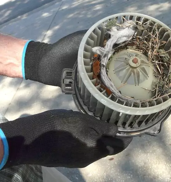 About Air Duct Rat Removal in Santa Clarita, CA