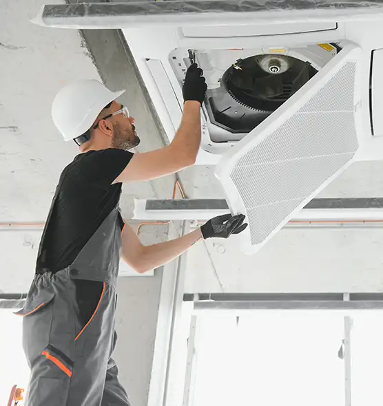 About Air Duct Rodent Removal in Santa Clarita, CA