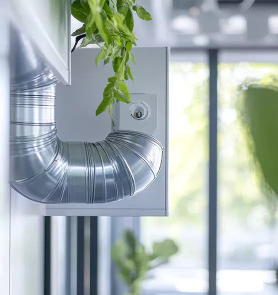 Professional Eco-Safe Dryer Vent Cleaning in Santa Clarita, CA