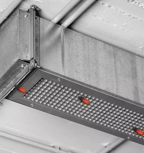 Affordable Insect Removal from Air Ducts in Santa Clarita, CA