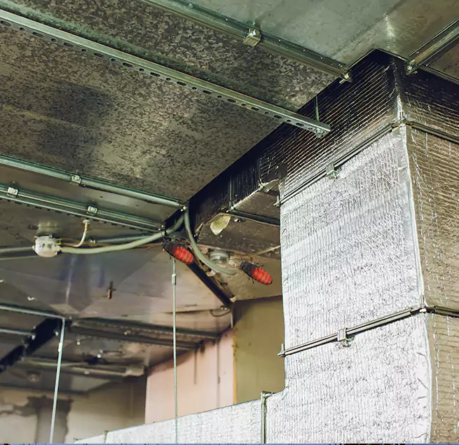 Why Homeowners & Businesses Trust Us in Santa Clarita, CA?