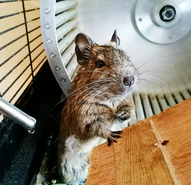 Why Homeowners & Businesses Trust Us Santa Clarita, CA?